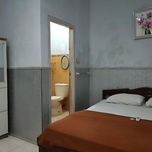 Kamar king standard